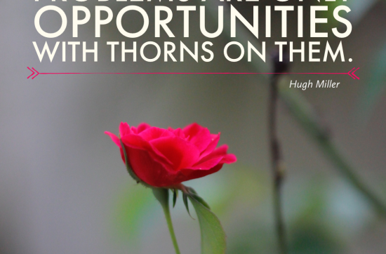inspiring motivating quote problems thorns - ReflectandRespond