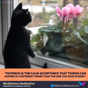 Mindfulness-Seven-Attitudinal-Foundations-Patience