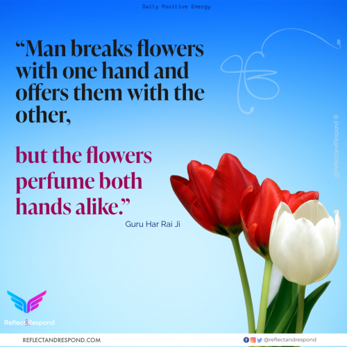 Man breaks flowers with one hand & offers with other hand